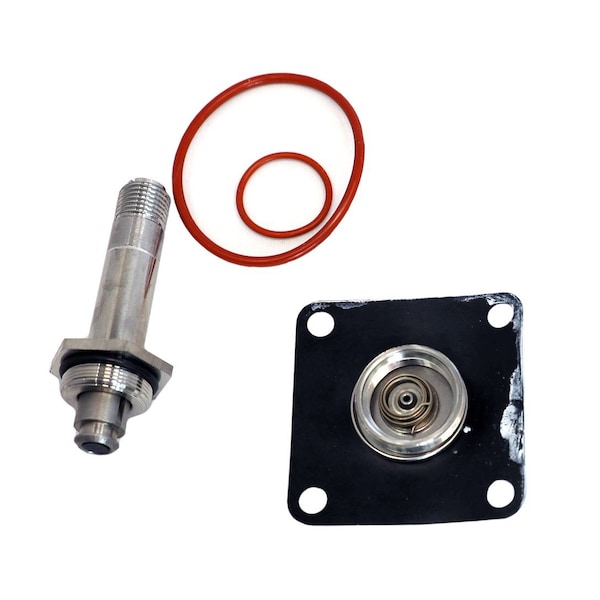 Rebuild kit, S20 series, 3/4" brass, buna elastomerics, DC